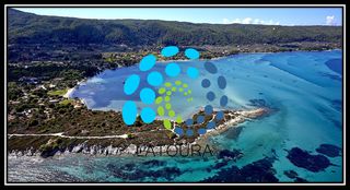 Αγροτεμάχια 15.000 τ.μ. για πώληση