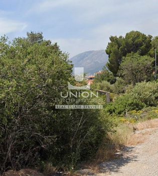 Οικόπεδο 1.400 τ.μ. για πώληση
