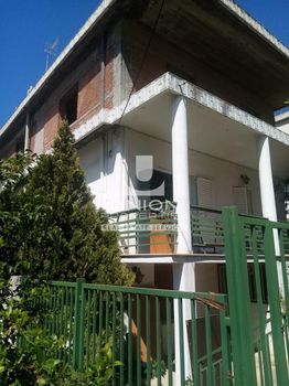 Οικόπεδο 417τ.μ. για πώληση-Χαϊδάρι » Κουνέλια