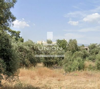 Οικόπεδο 4.500 τ.μ. για πώληση