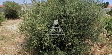 Οικόπεδο 201 τ.μ. για πώληση