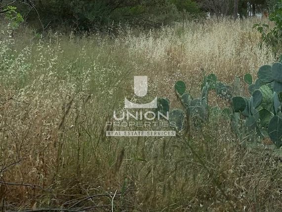 Land plot 321 sqm for sale, Athens - North, Chalandri