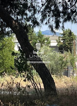 Land plot 404 sqm for sale, Athens - North, Kifisia