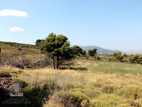 Οικόπεδο 22.000 τ.μ. για πώληση