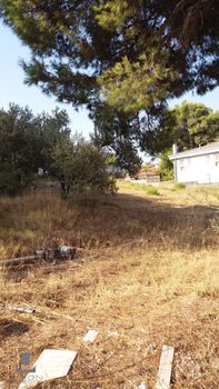 Οικόπεδο 1.200 τ.μ. για πώληση