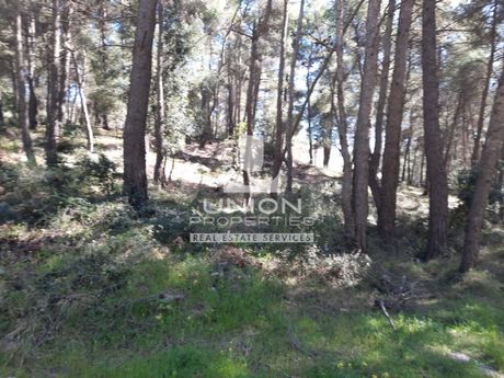 Οικόπεδο 1.800 τ.μ. για πώληση