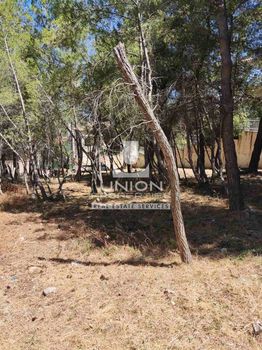 Οικόπεδο 830 τ.μ. για πώληση