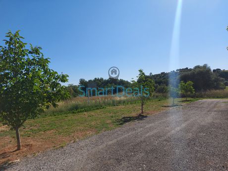 Land plot 1.600 sqm for sale