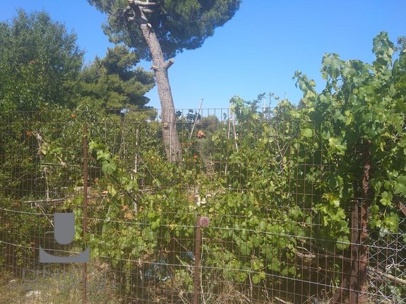 Land plot 696 sqm for sale, Athens - North, Kifisia