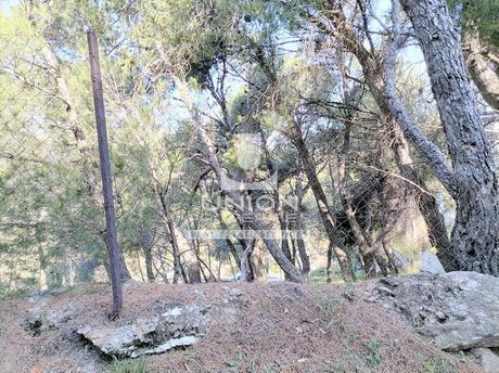 Οικόπεδο 1.015 τ.μ. για πώληση
