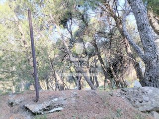 Οικόπεδο 1.015 τ.μ. για πώληση