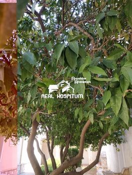 Land plot 1.402sqm for sale-Karistos » Kalivia