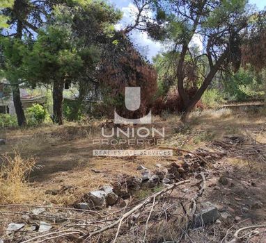 Land plot 2.716 sqm for sale