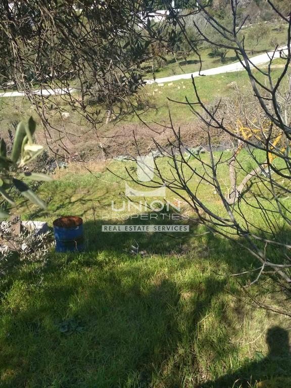 Οικόπεδο 2.500 τ.μ. πρός ενοικίαση, Αθήνα - Βόρεια Προάστια, Μελίσσια