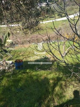 Land plot 2.500 sqm for rent
