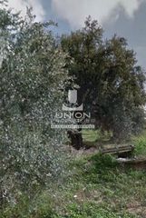 Οικόπεδο 313 τ.μ. για πώληση