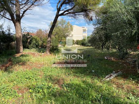 Land plot 706 sqm for rent
