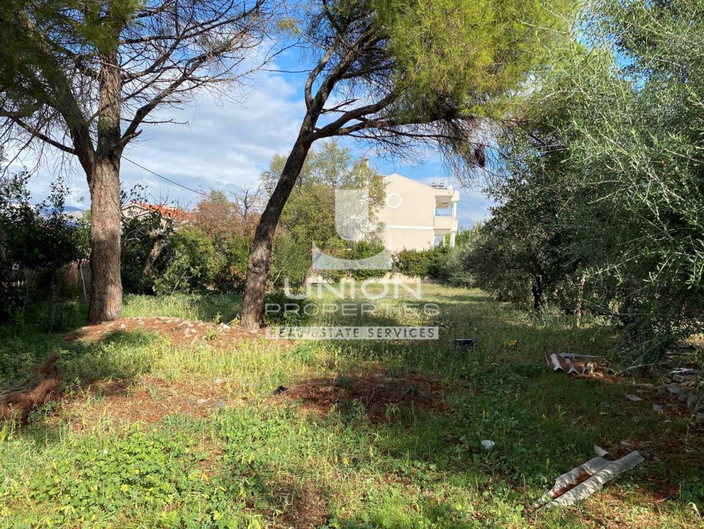 Οικόπεδο 706 τ.μ. πρός ενοικίαση, Αθήνα - Βόρεια Προάστια, Νέα Ερυθραία
