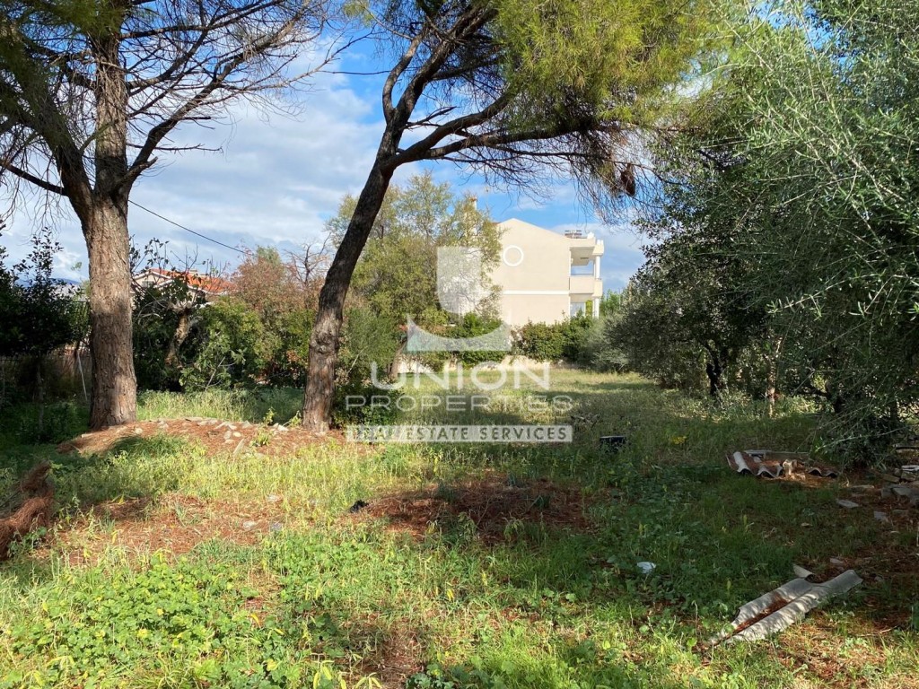Οικόπεδο 706 τ.μ. πρός ενοικίαση, Αθήνα - Βόρεια Προάστια, Νέα Ερυθραία