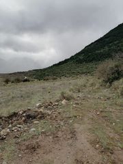 Οικόπεδο 2.000 τ.μ. για πώληση, Κορινθία, Φενεός-thumb-4
