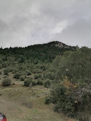 Οικόπεδο 2.000 τ.μ. για πώληση