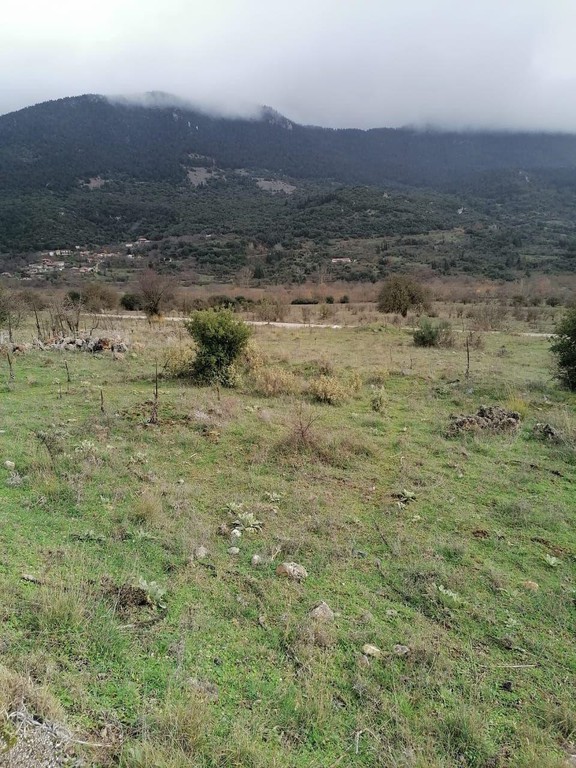 Οικόπεδο 2.000 τ.μ. προς πώληση, Στενό Φενεού