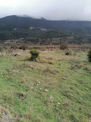 Οικόπεδο 2.000 τ.μ. για πώληση, Κορινθία, Φενεός-thumb-1