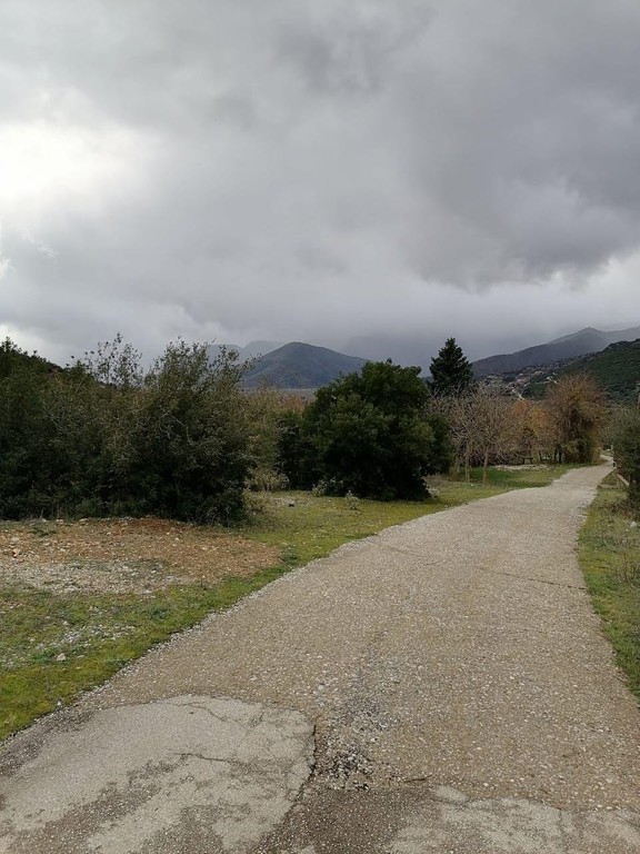 Οικόπεδο 2.000 τ.μ. προς πώληση, Στενό Φενεού