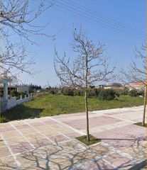 Οικόπεδο 3.750 τ.μ. για πώληση