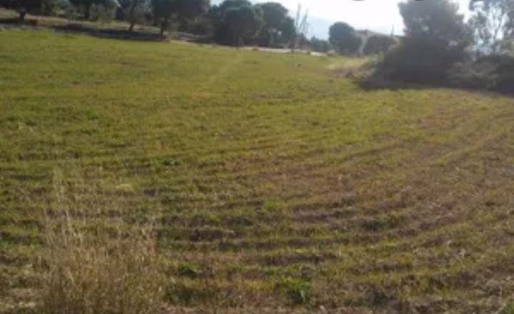 Οικόπεδο 3.750 τ.μ. προς πώληση, Λουτράκι Κορινθίας