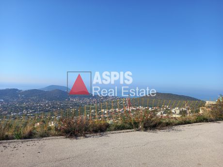 Οικόπεδο 1.100τ.μ. για πώληση-Ανάβυσσος