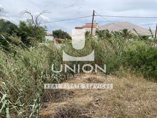 Οικόπεδο 1.100 τ.μ. προς πώληση
