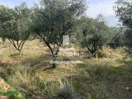 Οικόπεδο 573τ.μ. για πώληση-Καματερό » Άτταλος
