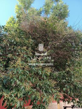 Οικόπεδο 253τ.μ. για πώληση-Λεωφ. πατησίων - λεωφ. αχαρνών » Κάτω πατήσια