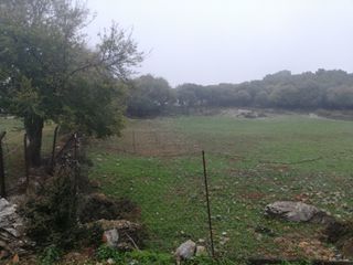 Οικόπεδο 3.300 τ.μ. για πώληση
