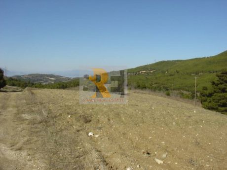 Αγροτεμάχια 8.730 τ.μ. για πώληση