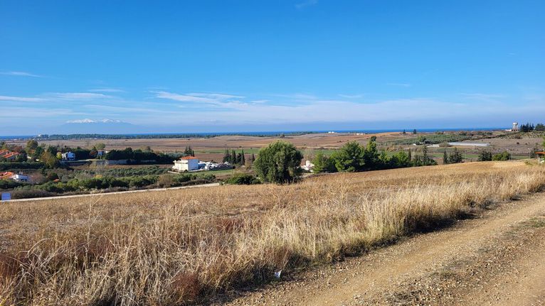 Οικόπεδο 5.000 τ.μ. για πώληση, Χαλκιδική, Κασσάνδρα