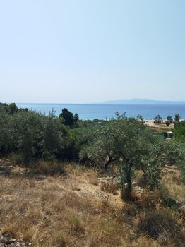 Οικόπεδο 4.000 τ.μ. για πώληση