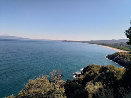 Οικόπεδο 6.005 τ.μ. για πώληση