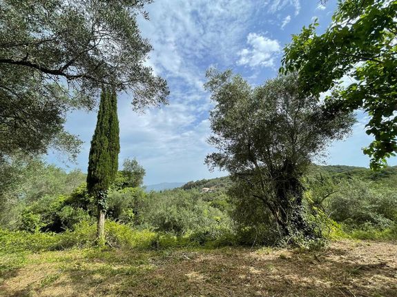 Οικόπεδο 5.020 τ.μ. για πώληση, Ν. Κέρκυρας, Κέρκυρα