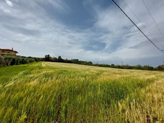 Οικόπεδο 5.000 τ.μ. για πώληση, Θεσσαλονίκη - Περιφ/Κοί Δήμοι, Μηχανιώνα