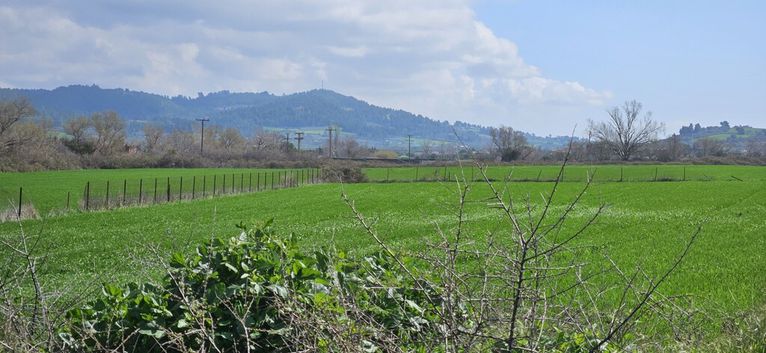 Οικόπεδο 4.625 τ.μ. για πώληση, Χαλκιδική, Κασσάνδρα