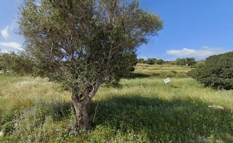 Οικόπεδο 4.150 τ.μ. για πώληση