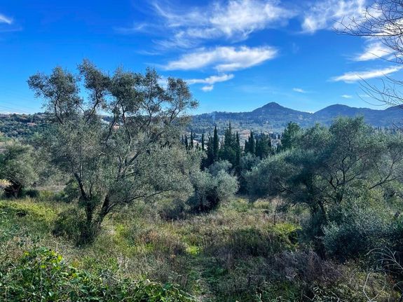 Οικόπεδο 8.781 τ.μ. για πώληση, Ν. Κέρκυρας, Κέρκυρα