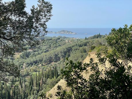 Οικόπεδο 12.000 τ.μ. για πώληση