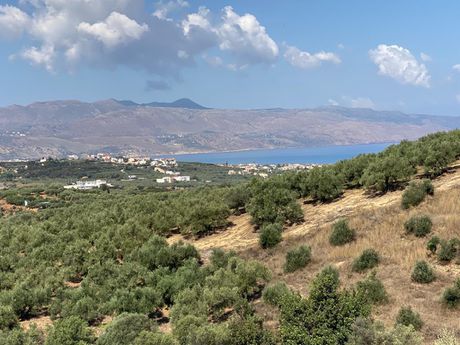Οικόπεδο 3.732 τ.μ. για πώληση