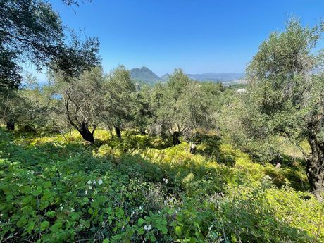 Οικόπεδο 1.202 τ.μ. για πώληση