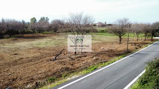 Οικόπεδο 4.411 τ.μ. για πώληση, Ν. Κέρκυρας, Κέρκυρα-thumb-6