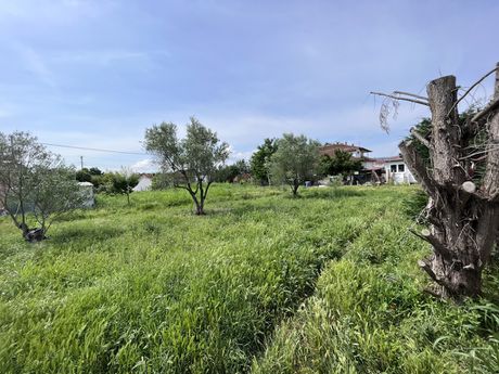 Οικόπεδο 1.145 τ.μ. για πώληση