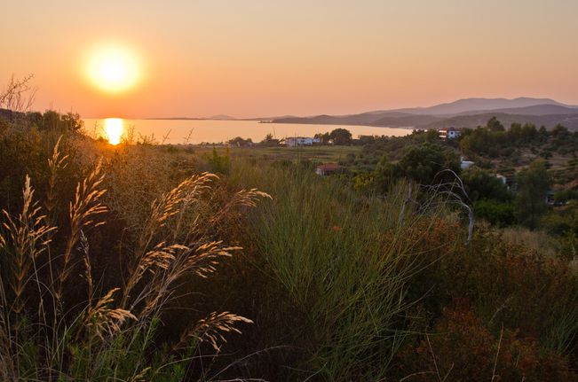 Οικόπεδο 223 τ.μ. για πώληση, Χαλκιδική, Τορώνη